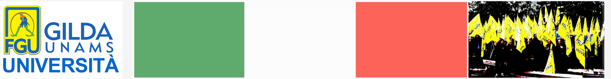 FGU Dipartimento Università